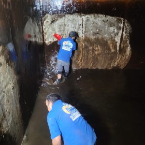 img 2